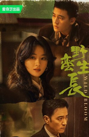 Дорама Дикий цветок сериал 2022  смотреть онлайн