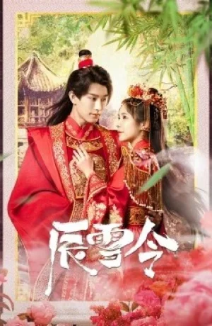 Дорама Брачный знак сериал 2023  смотреть онлайн