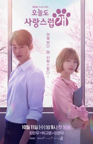 Дорама Отличный день, чтобы стать собакой сериал 2023  смотреть онлайн