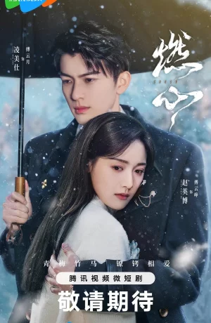 Дорама Обжигающее сердце сериал 2024  смотреть онлайн