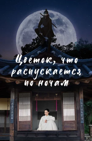Дорама Цветок, что распускается по ночам сериал 2024  смотреть онлайн