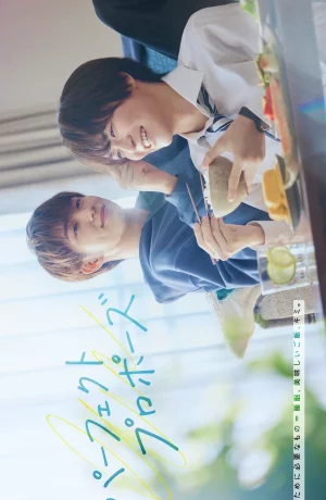 Дорама Идеальное предложение сериал 2024  смотреть онлайн