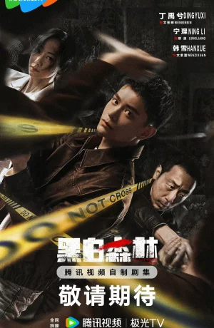 Дорама Чёрно-белый лес сериал 2024  смотреть онлайн