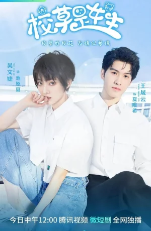 Дорама Краш всего универа - девушка сериал 2023  смотреть онлайн