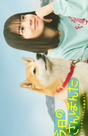 Дорама Сегодняшняя прогулка с Понтой сериал 2025  смотреть онлайн