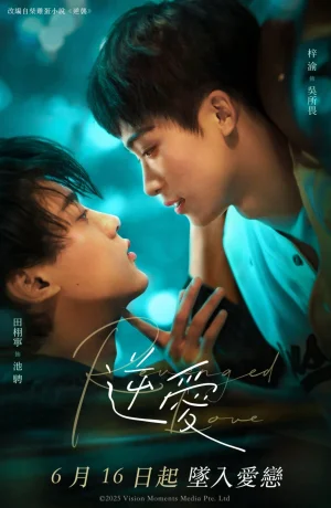 Дорама Любовь из мести сериал 2025  смотреть онлайн