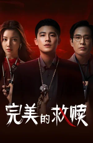 Дорама Идеальный подозреваемый сериал 2025  смотреть онлайн